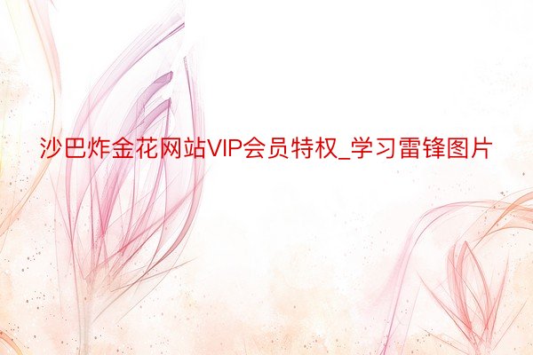 沙巴炸金花网站VIP会员特权_学习雷锋图片