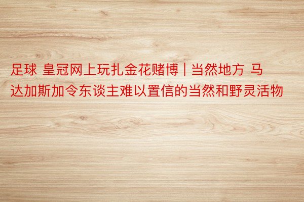 足球 皇冠网上玩扎金花赌博 | 当然地方 马达加斯加令东谈主难以置信的当然和野灵活物